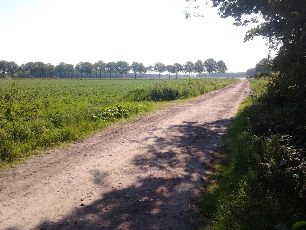 B&B In De Backerije Зёйдволде Номер фото